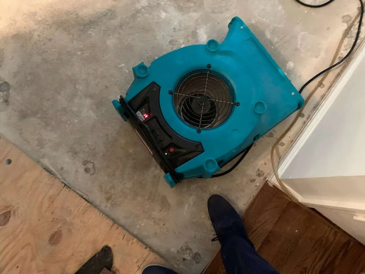 Air mover drying subfloor during Commercial Water Damage Restoration in Woodburn